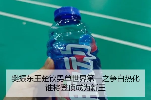 樊振东王楚钦男单世界第一之争白热化 谁将登顶成为新王